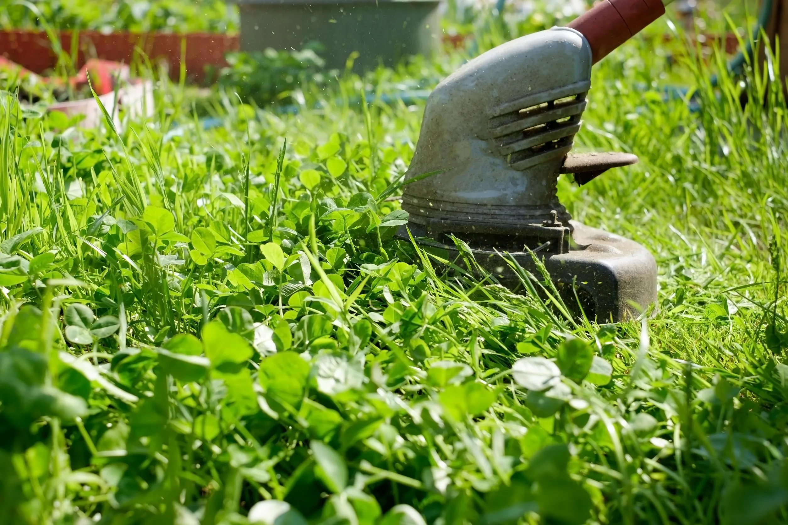 herramientas de jardinería 